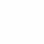 Vector Environmental Consulting