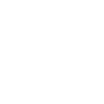 Vector Environmental Consulting