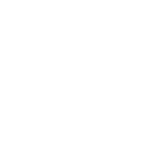 Vector Environmental Consulting