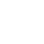 Vector Environmental Consulting